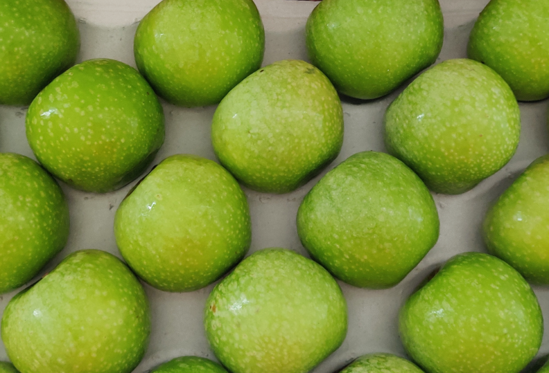 Maça Granny Smith